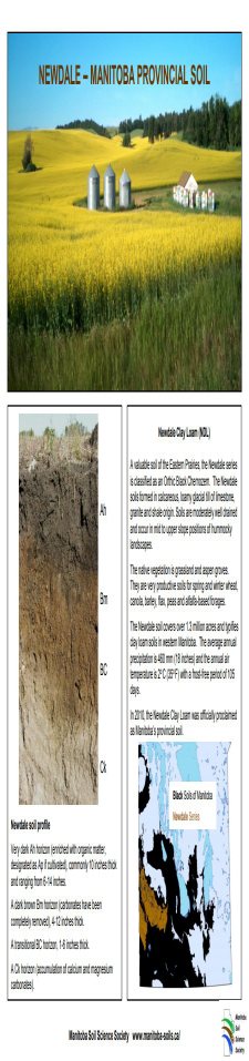 Newdale Clay Loam Provincial Soil Factsheet