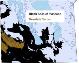 Extent of Newdale Clay Loam in Manitoba